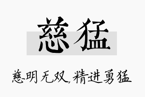 慈猛名字的寓意及含义