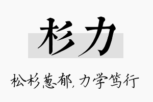 杉力名字的寓意及含义