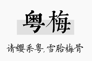 粤梅名字的寓意及含义