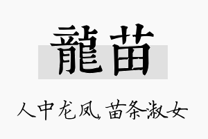 龙苗名字的寓意及含义