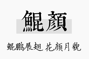 鲲颜名字的寓意及含义