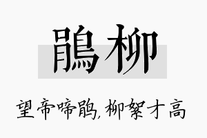 鹃柳名字的寓意及含义