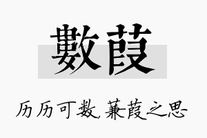 数葭名字的寓意及含义