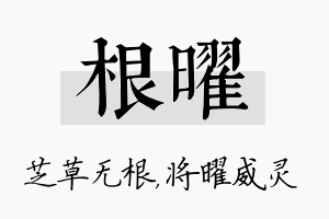 根曜名字的寓意及含义