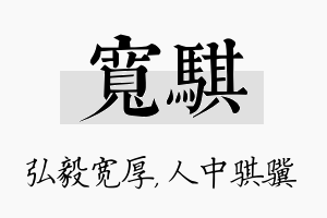 宽骐名字的寓意及含义