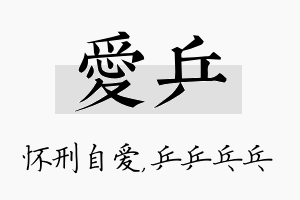 爱乒名字的寓意及含义