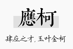 应柯名字的寓意及含义