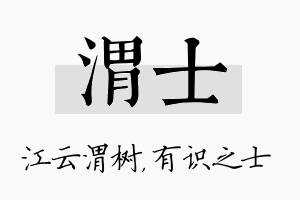 渭士名字的寓意及含义