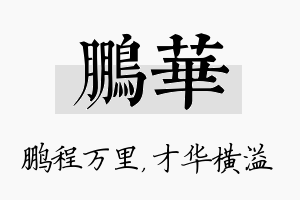 鹏华名字的寓意及含义