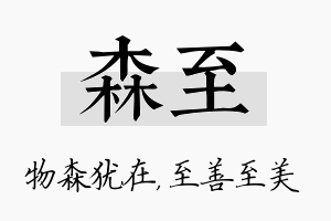 森至名字的寓意及含义