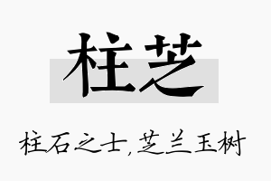 柱芝名字的寓意及含义