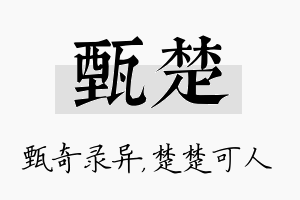 甄楚名字的寓意及含义