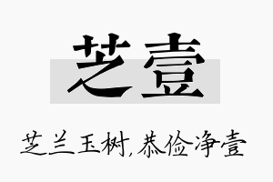 芝壹名字的寓意及含义