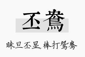 丕鸯名字的寓意及含义