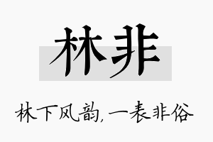 林非名字的寓意及含义