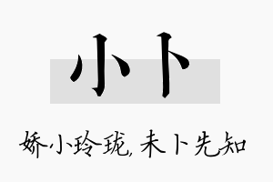 小卜名字的寓意及含义