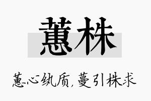 蕙株名字的寓意及含义