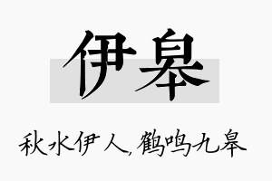 伊皋名字的寓意及含义