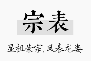 宗表名字的寓意及含义