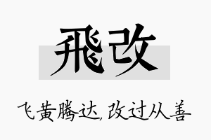 飞改名字的寓意及含义