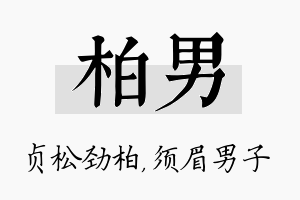 柏男名字的寓意及含义