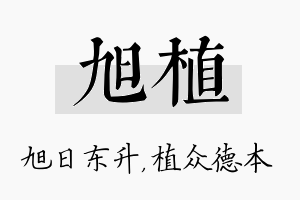 旭植名字的寓意及含义