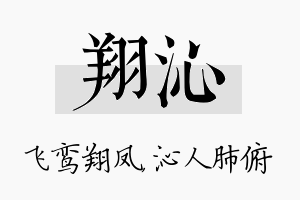 翔沁名字的寓意及含义