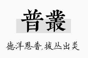 普丛名字的寓意及含义