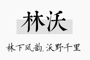 林沃名字的寓意及含义