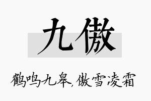 九傲名字的寓意及含义