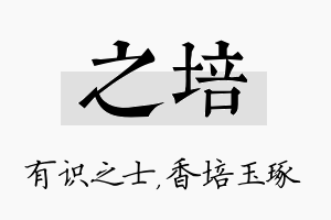 之培名字的寓意及含义