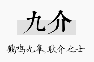 九介名字的寓意及含义