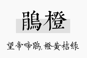 鹃橙名字的寓意及含义