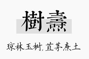 树焘名字的寓意及含义