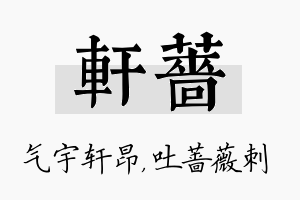 轩蔷名字的寓意及含义