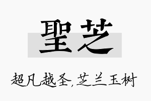 圣芝名字的寓意及含义