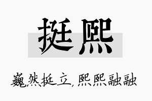 挺熙名字的寓意及含义