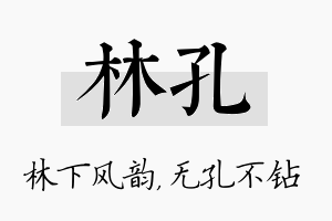 林孔名字的寓意及含义