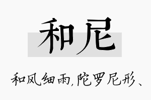 和尼名字的寓意及含义