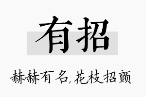 有招名字的寓意及含义