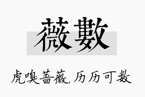 薇数名字的寓意及含义