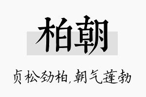 柏朝名字的寓意及含义