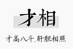 才相名字的寓意及含义