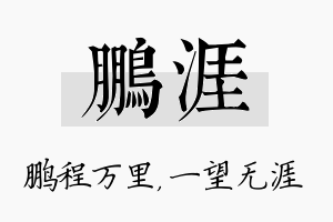 鹏涯名字的寓意及含义