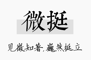 微挺名字的寓意及含义