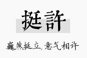 挺许名字的寓意及含义