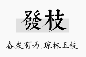 发枝名字的寓意及含义