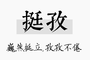 挺孜名字的寓意及含义