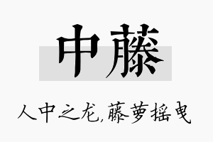 中藤名字的寓意及含义