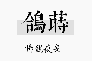 鸽莳名字的寓意及含义